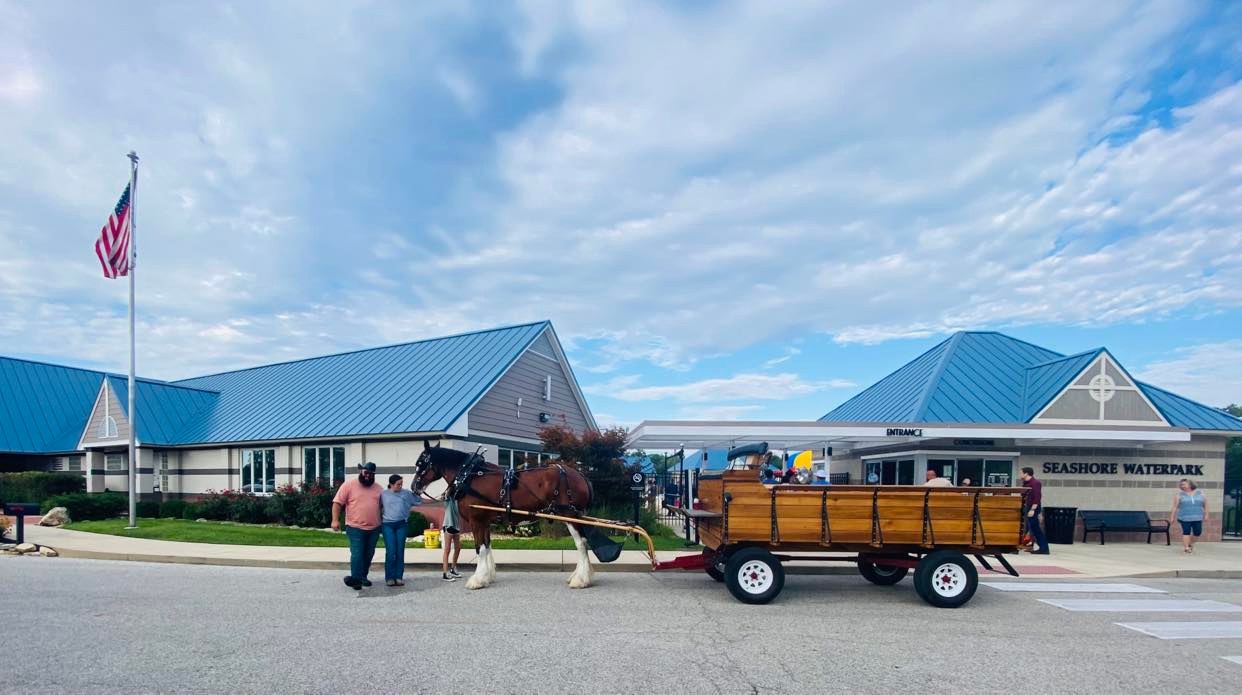 Wagon Rides